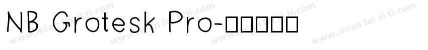 NB Grotesk Pro字体转换